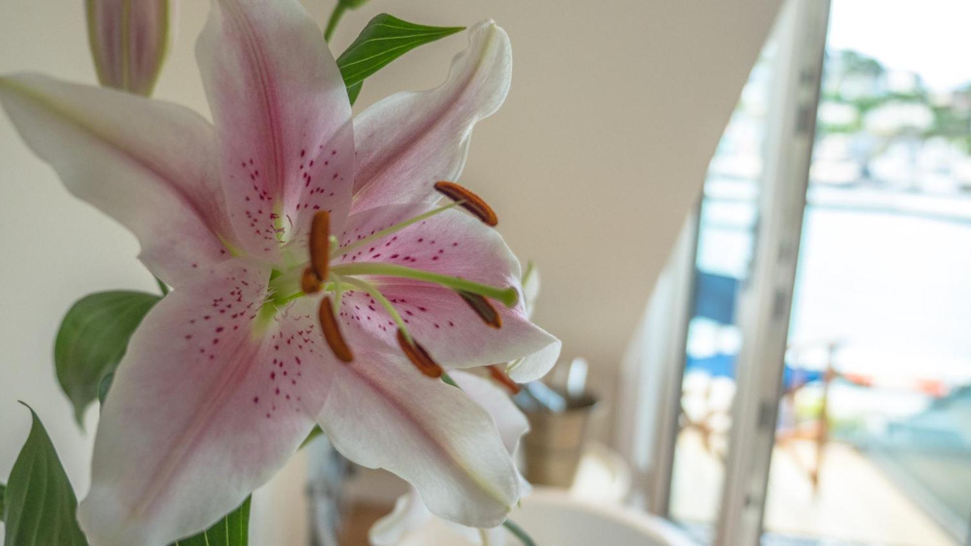 Waterfront House Bed & Breakfast ดาร์ตมัธ ภายนอก รูปภาพ